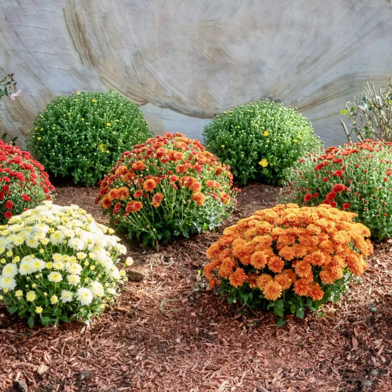 Pittsburgh, PA Commercial Landscaping Companies