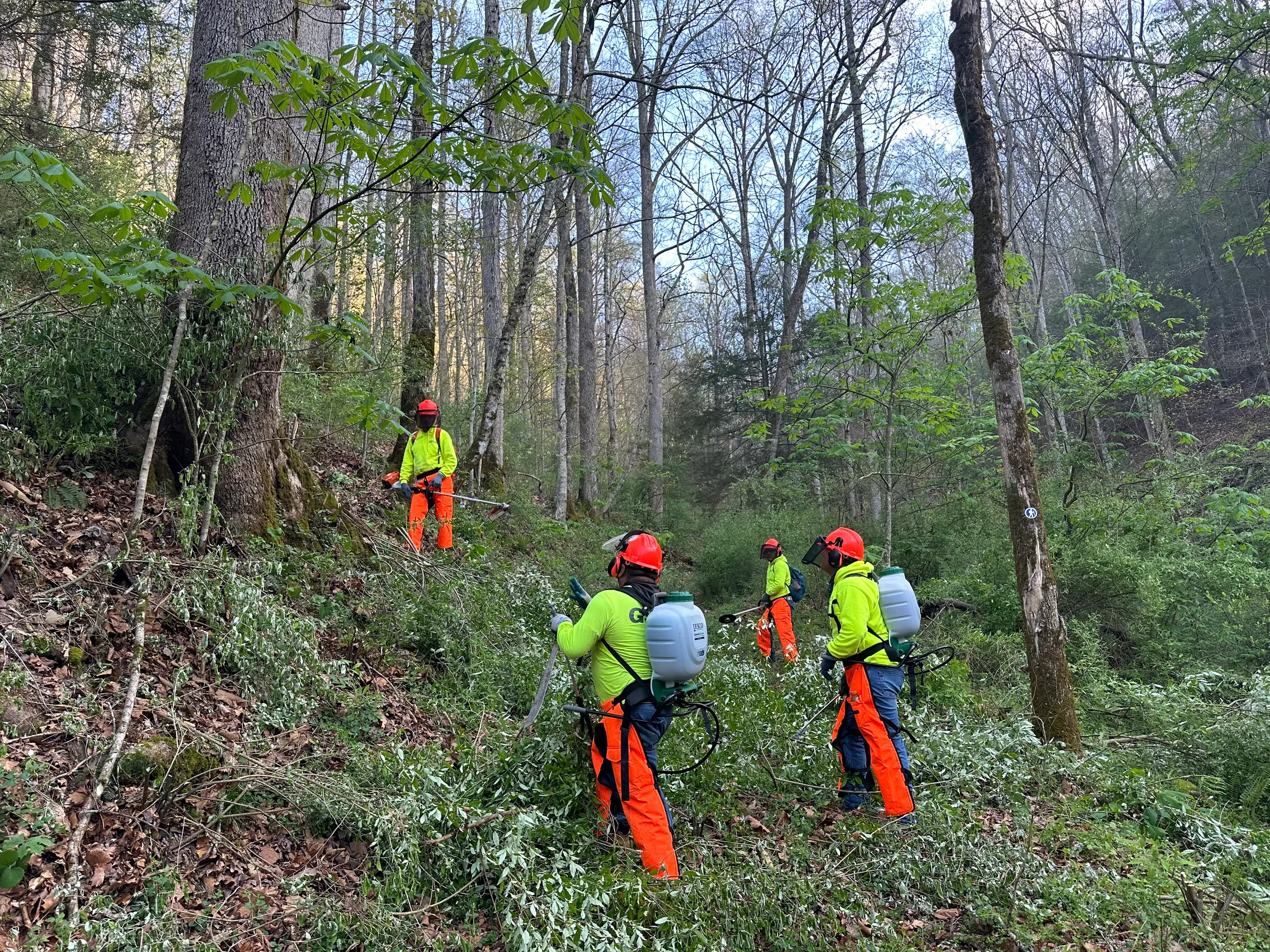 pittsburgh pa vegetation management services 1 pittsburgh pa vegetation management services 1