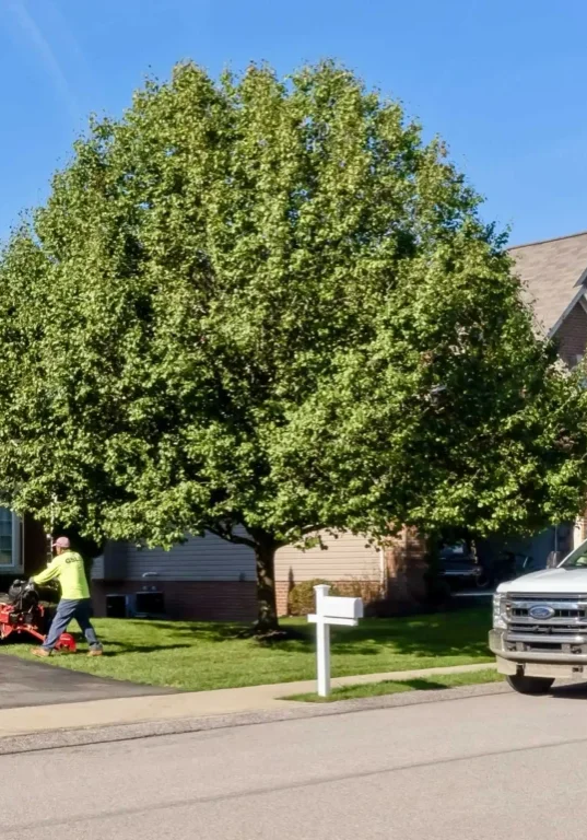 Pittsburgh-PA-Residential-Landscape-Maintenance